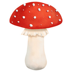 Beautiful bright red poisonous mushroom fly agaric. Isolated watercolor illustration - tutorial, guidebook, workbook, workbook, notebook, print, scrapbooking, Sticker, exercise book, textile, design