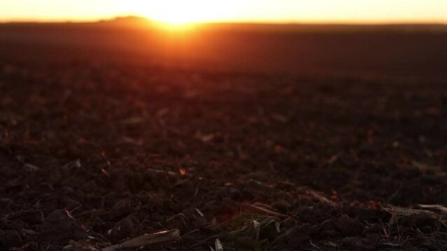 Agriculture and agribusiness concept. Beautiful rural landscape view of large plowed agricultural field of black soil on orange sunset. Preparation farmland for sowing crops and planting vegetables