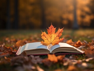 Obraz premium Book on a leaf with maple tree at background. AI generative