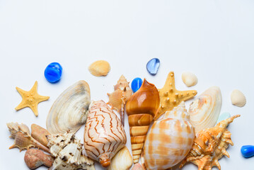Collection of seashells, stone and sea star