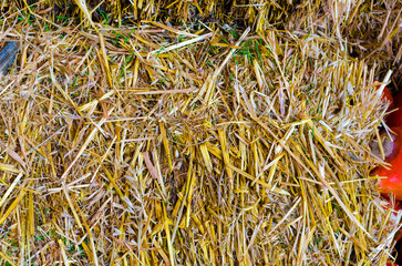hayloft texture close up background