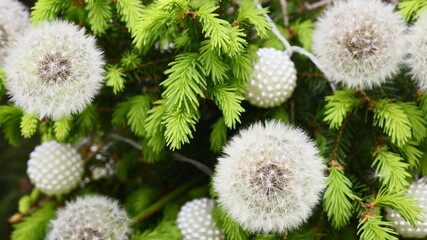 New Year's motives, Christmas in the summer, dandelions and Christmas, winter holiday, Christmas gifts, postcard, background, congratulations on the holiday, winter is coming, Christmas