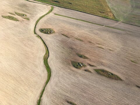 field in the moorning