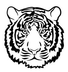 Tiger head illustration. Vector design.