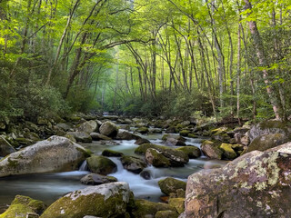 Obraz premium Rushing River water of Big Creek, Tennessee 