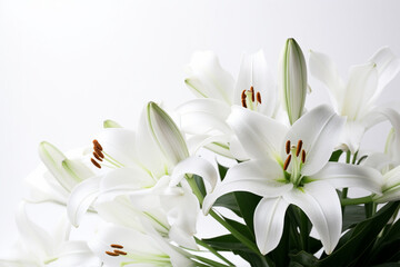Fototapeta na wymiar Lily on white background