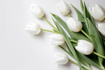 Obraz na płótnie Canvas White tulips on white background