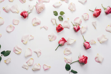 Top view photo of roses and rose petals
