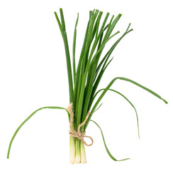 A bunch of green onions tied with a rope on a white isolated background