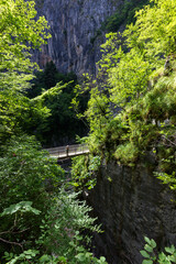 Fototapeta premium View of Skocjan Caves and surrounding area (Slovenia)