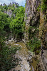 View of Skocjan Caves and surrounding area (Slovenia)