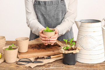 Woman holding peat pot with green seedling at table on white background, closeup