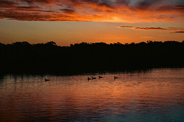 Fototapeta premium sunset on the lake