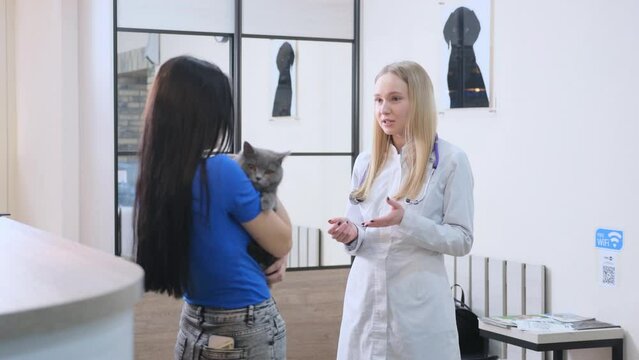 the veterinarian on duty at the clinic consults a client with a sick cat in her arms.