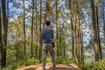 Young man Indonesian hiking trough the pine forest for hiking mountain. The photo is suitable to use for adventure content media, nature poster and forest background.