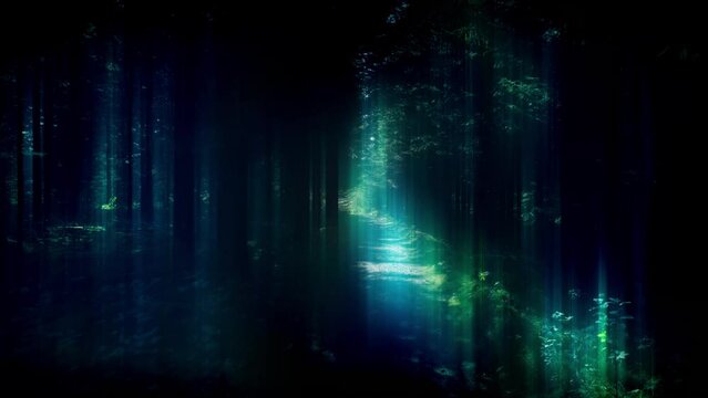Slowly floating through spooky dark enchanted forest, blue green glow