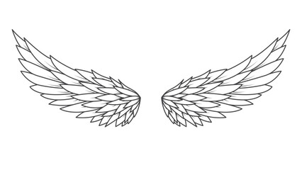 illustration of a pair of line art wings