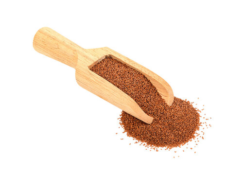 teff  grain  isolated  on transparent png
