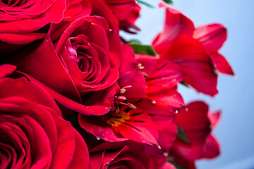 Detalle lateral floral rojo