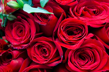 Conjunto de flores rojas