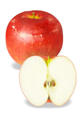 リアルタッチのりんごのイラスト