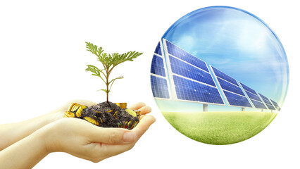 solar panel Solar energy, tree in hand, clean energy concept, save the environment for the future PNG transparent