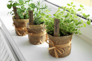 Different fresh potted herbs on windowsill indoors, closeup