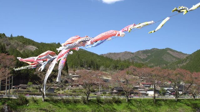 山間の青空の元で泳ぐ鯉のぼりと鮎のぼり