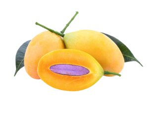 Marian Plum, (Bouea macrophylla Griffith). transparent png