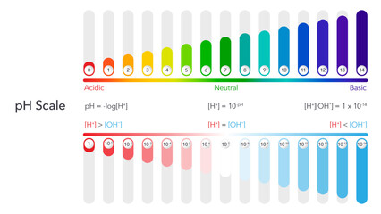 pH scale scientific vector illustration infographic