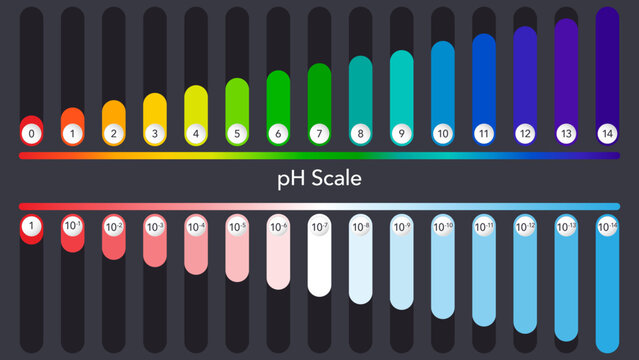 pH scale scientific vector illustration infographic