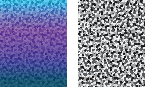 Iridescent and Black and White Sequins Backgrounds