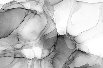 Marble ink abstract art from exquisite original painting for abstract background . Painting was painted on high quality paper texture to create smooth marble background pattern of ombre alcohol ink . © InfiniteFlow