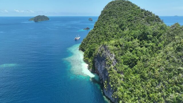 Fringing coral reefs grow around the forest-covered limestone islands that rise from Raja Ampat's seascape. This remote part of Indonesia is known for its incredibly high marine biodiversity.