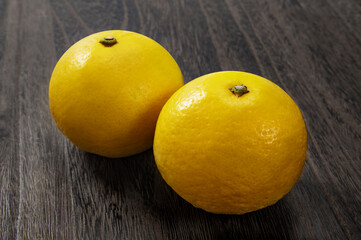 日本の柑橘類フルーツの日向夏