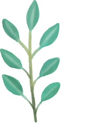 Floral vector illustration, flower, leaves, watercolor, plant