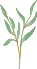 Floral vector illustration, flower, leaves, watercolor, plant