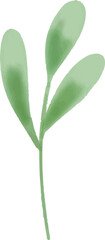 Floral vector illustration, flower, leaves, watercolor, plant