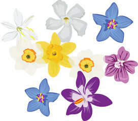 Realistic, Isolated Vector Flower Assortment