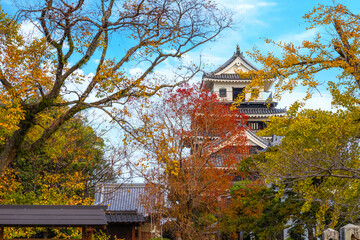 Fototapeta premium Nakatsu, Japan - Nov 26 2022: Nakatsu Castle known as one of the three mizujiro, or 