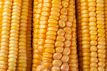 Texture of fresh yellow corn close up