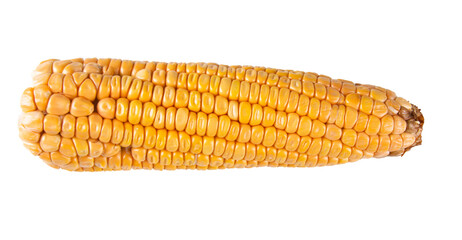Fresh corn isolated on transparent background png.