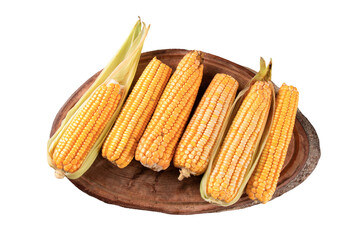 Fresh corn isolated on rustic wood with transparent background png.
