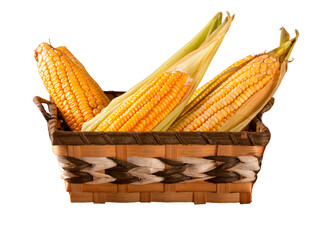 Fresh yellow corn in basket over rustic wood and transparent background png