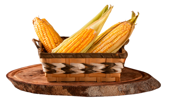 Fresh yellow corn in basket over rustic wood and transparent background png
