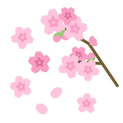 桜　シンプル