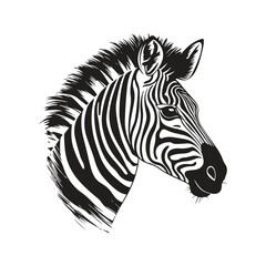 Fototapeta na wymiar zebra, vintage logo line art concept black and white color, hand drawn illustration