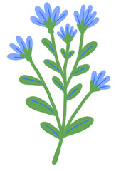 Fototapeta na wymiar Hand drawn doodle blue flower isolated on white. Flat illustration.