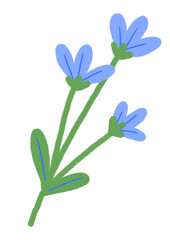 Hand drawn doodle blue flower isolated on white. Flat illustration.