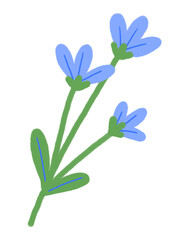 Naklejka premium Hand drawn doodle blue flower isolated on white. Flat illustration.